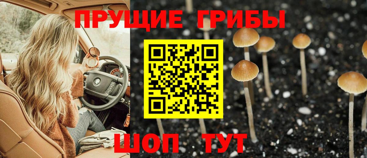 Псилоцибиновые грибы мухоморы Реутов